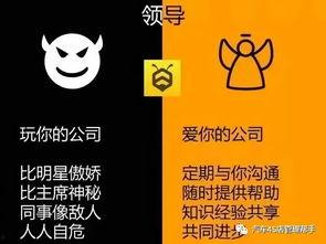 陪玩新闻爆料怎么写文案,新闻爆料背后的真实故事  第2张